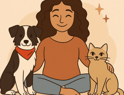 Balades Personnalisées de votre chien à Anglet, Bayonne et Biarritz