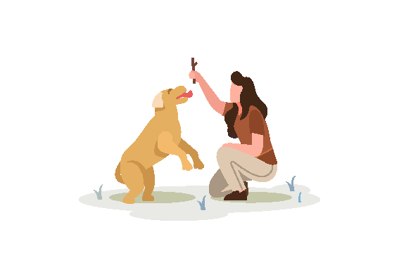 comportamentaliste-64 Dog walking pays basque